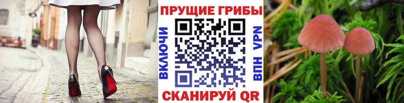 Галлюциногенные грибы Magic Shrooms  Купить где  Оренбург 